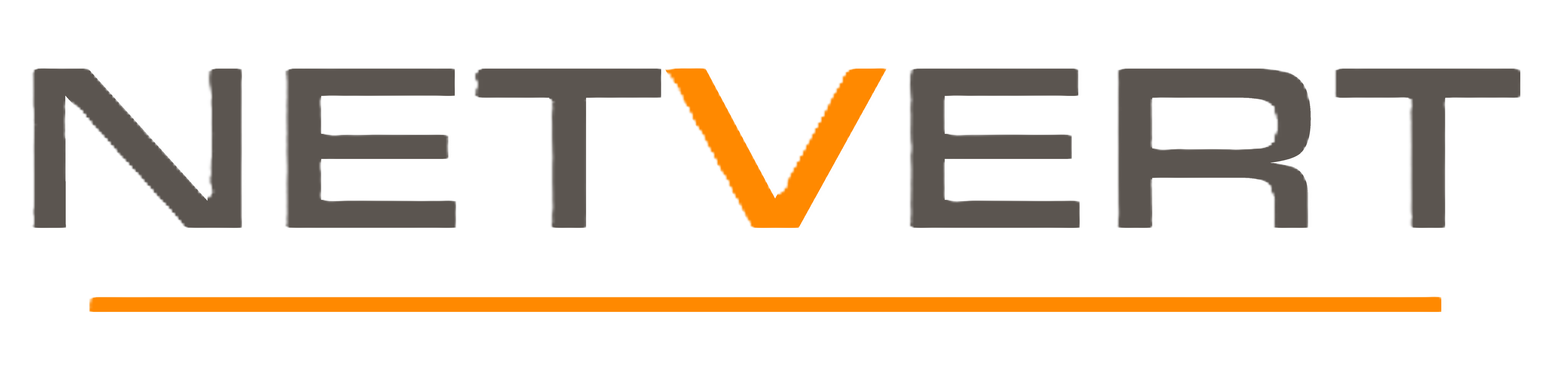 Netvert Logo